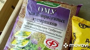 Удобрила хвойники,гортензии,кустарники,клубнику.Помидоры высадила в теплице