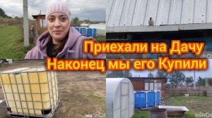 Дача 150 км от дома 😩Приехали на Дачу. Снова Мыши😰 Наконец мы его купили!!