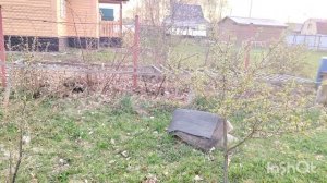 ❗Мои майские❗Небольшое включение с дачи❗
