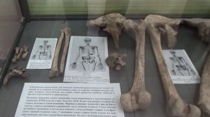 Обезглавленные тела захороненные на раскопе по улице Толстого, 70