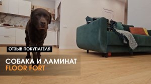 Что будет, если уложить ламинат Floor Fort по всей квартире? Отзыв год спустя
