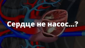 СЕРДЦЕ НЕ НАСОС