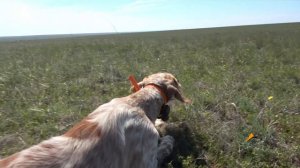 Потяжка по  стандарту
