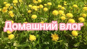 СОН В РУКУ... ЛЕТО ОБЕЩАЕТ БЫТЬ ЯРКИМ 🤩