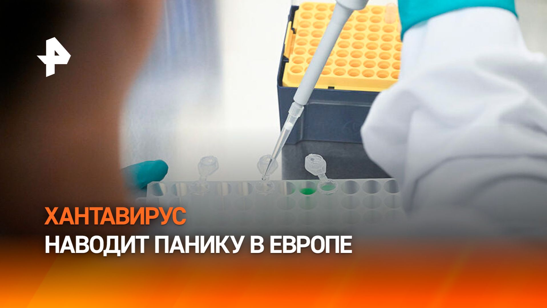 Смертельно опасный хантавирус добрался до Европы смотреть онлайн