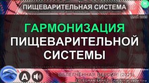 🌿 Идеальное Пищеварение ⚖️ Глубокая Балансировка Всей Пищеварительной Системы