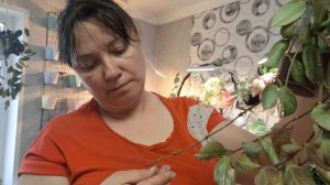 Будни цветоводов 🌷 Перестановка