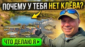 Весной рыба стоит ЗДЕСЬ! Мормышинг: реальные советы, как выйти на раздачу