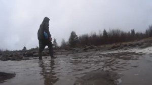 РЫБАЛКА В АРКТИКЕ!!! ПРОВЕРЯЮ СЕТКИ! ОДНА КОРЮШКА!