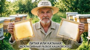 Какую вощину выбрать? Литая vs катаная — мнение профессора Кашковского