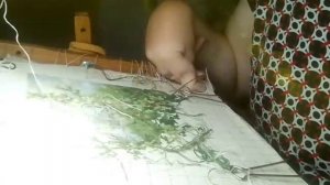 Лесная тайна Вышивка крестом Мои посиделки со вышивкой И с аудиокнигой