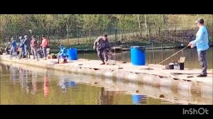 Спортзона.Поимки