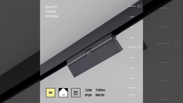 Светильник Maytoni Exility Basis TR036-2-12W3K-B смотреть онлайн
