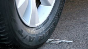 Aplastando Cosas Crujientes! Resortes VS Rueda de Coche