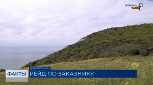 На пастбище в реликтовом лесу под Новороссийском пожаловались местные жители