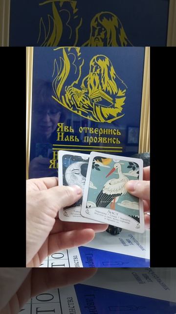 Совет дня🐸 7мая🙋#новинка#семья#работа#дом#дело# смотреть онлайн