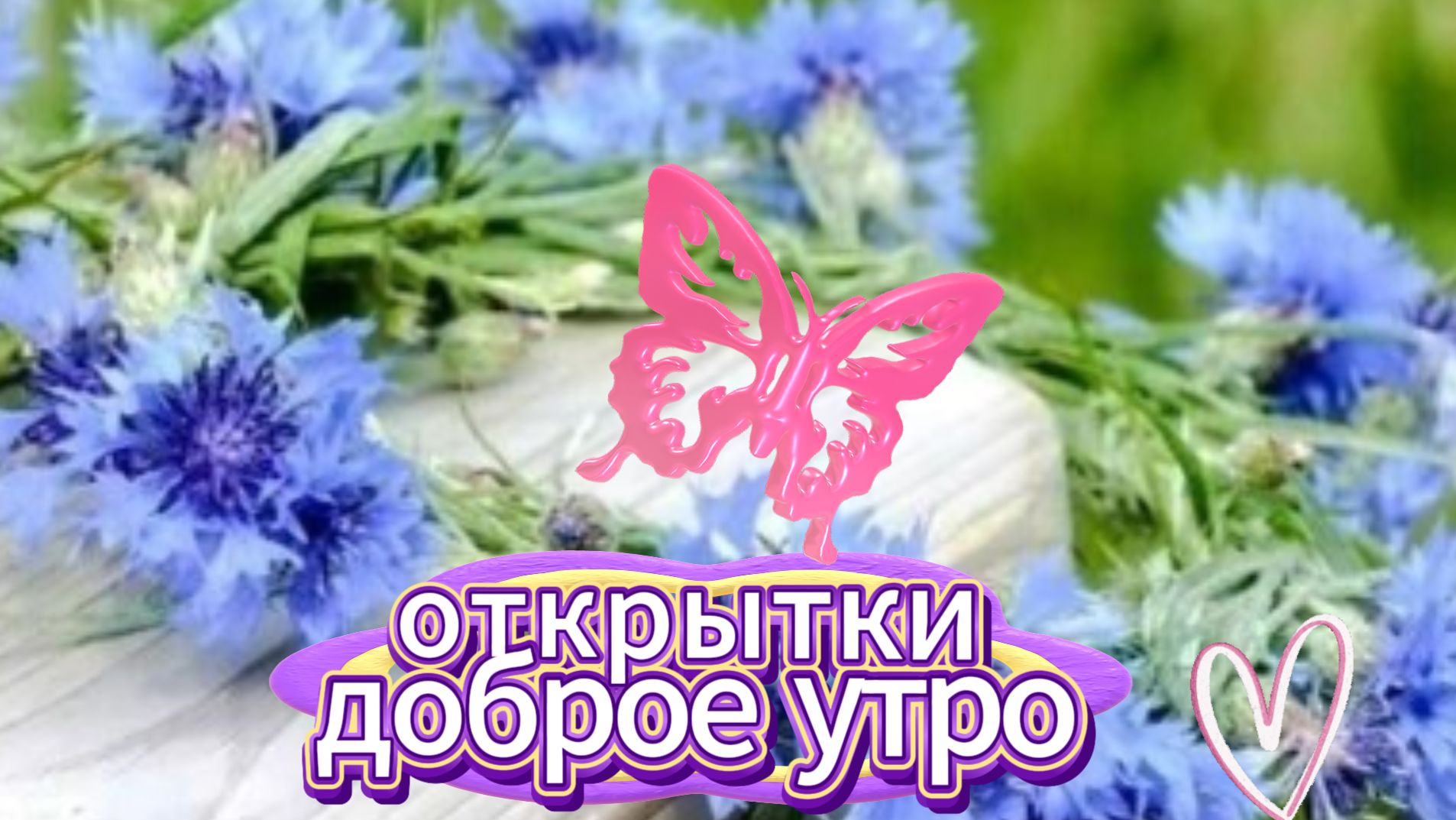Доброе утро: открытки для друзей и пожелания с добром утром | Домохозяйка