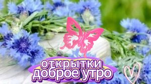 Доброе утро: открытки для друзей и пожелания с добром утром | Домохозяйка
