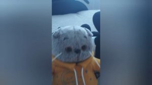 Эдит от меня для себя | #edit #basik #budibasa