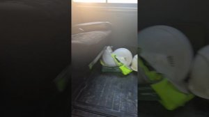 Полный обзор на соболь