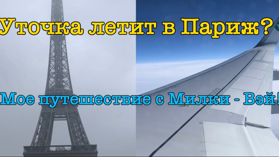 Мы с уточкой лалафанфан летим в Париж? Полный обзор моего путешествия 🧳 !