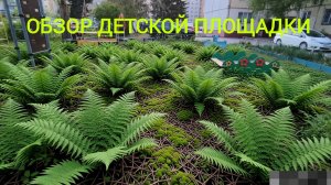 Обзор детской площадки. Там растут древние папоротники!