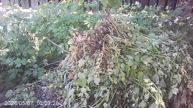 Обзор другой нашей компостной кучи