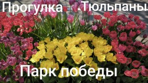 Белгород, прогулка показал вам тюльпаны и парк победы.
