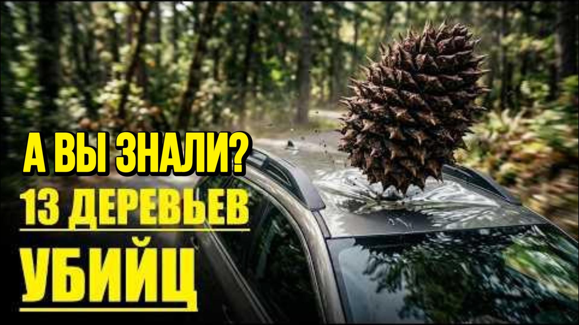 13 Деревьев - Жестоких Убийц, от которых нет спасения!