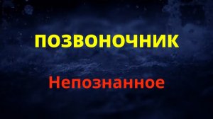 ПОЗВОНОЧНИК.НЕПОЗНАННОЕ