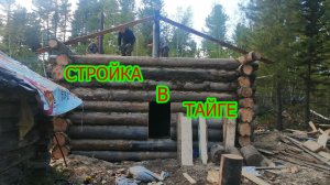 Постройка зимовья в кедровнике.