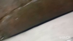 Д. Крюкова. Чистка колодца. Песок в воде , прокачали до прозрачной. podkapaev.ru