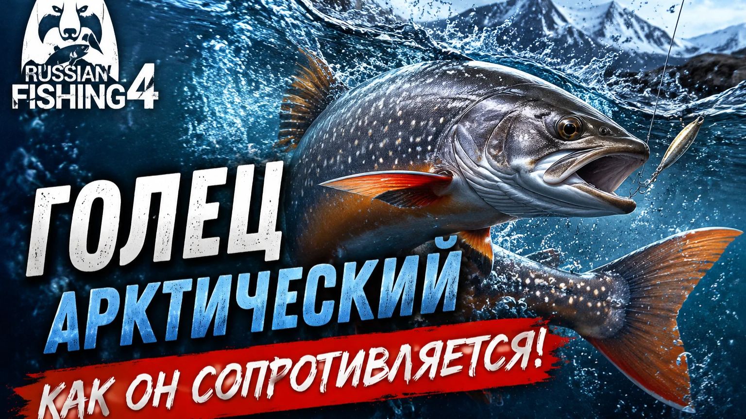 Как сопротивляется Голец Арктический? [Река "Яма" [RF-4]