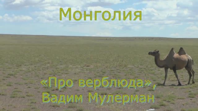 Видеоклип (Монголия 
