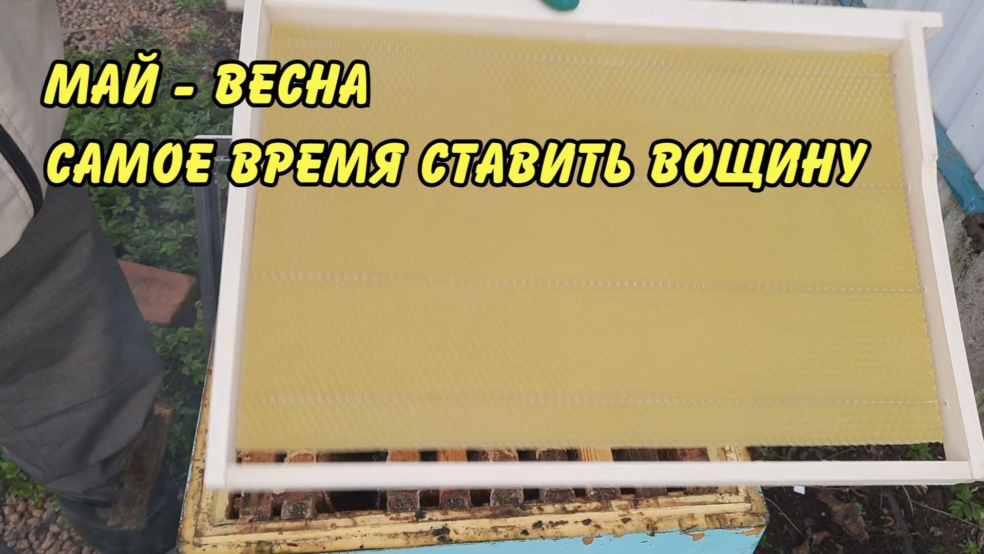 пчелвоство, апрель весна саме время ставить вощину 2023