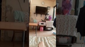 1000001618.mp4
