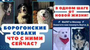 Норд и Белый две судьбы, которые зависят от нас!