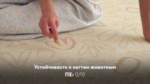 защита от котов пвх