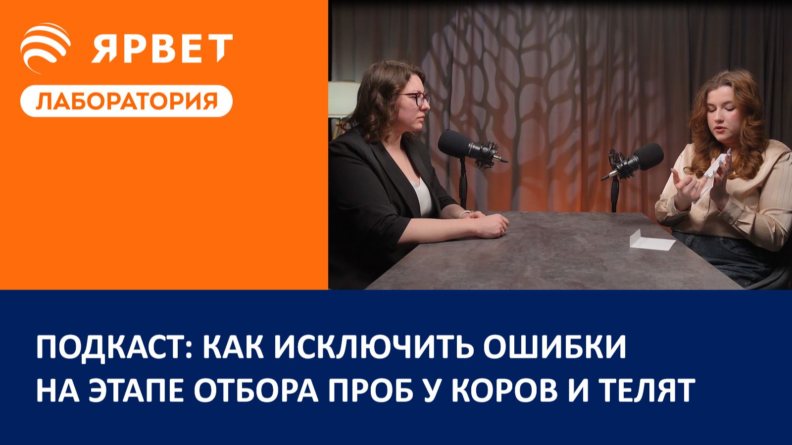 Подкаст: как исключить ошибки  на этапе отбора проб у коров и телят