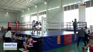 Открытое первенство по боксу прошло в Приморско-Ахтарском округе