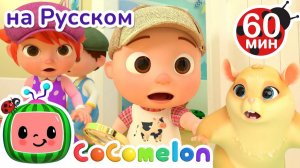 Кто Найдет Хомяка# # Сборник 1 Час # CoComelon на русском — Детские песенки