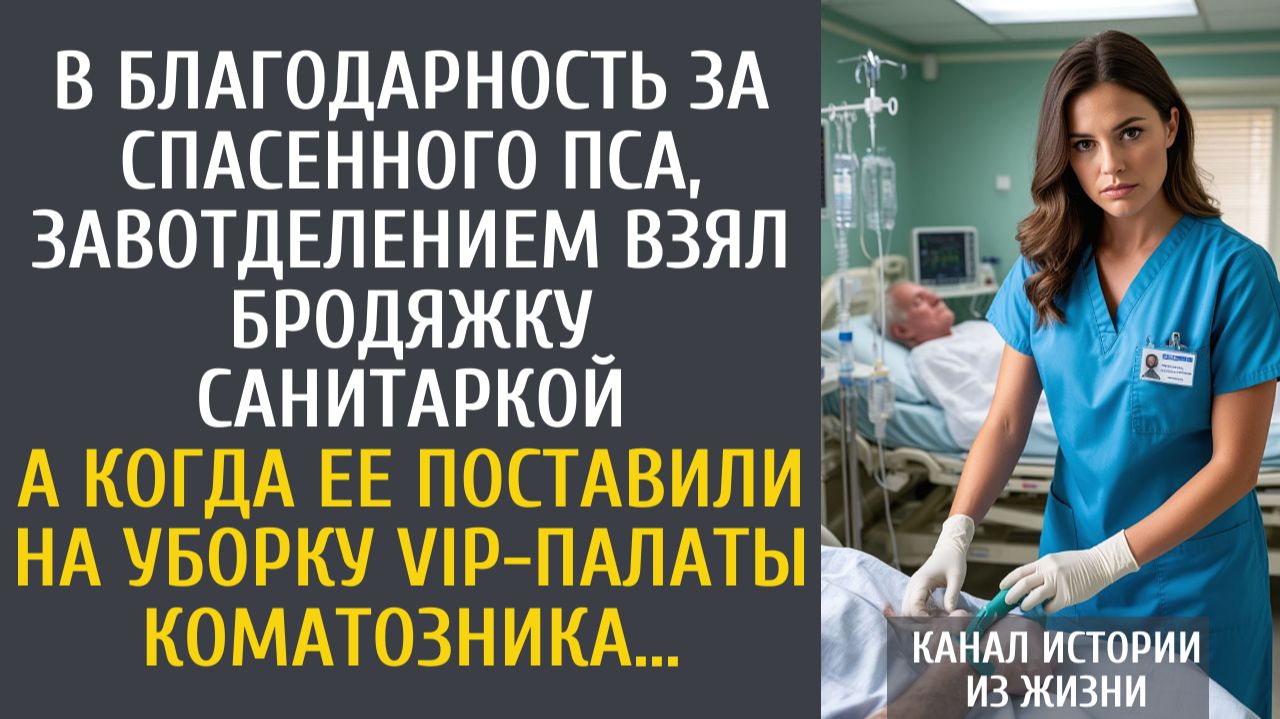 истории из жизни В благодарность за спасенного пса, завотделением взял бродяжку санитаркой…