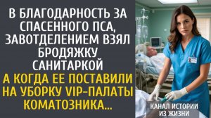истории из жизни В благодарность за спасенного пса, завотделением взял бродяжку санитаркой…