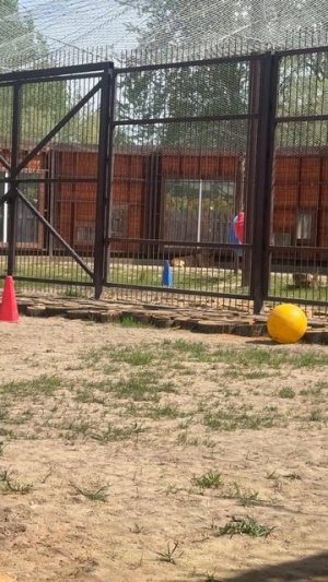 Слишком лениво для любви