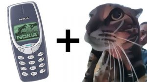 Кот мяукает в дверную камеру-мем, но рингтоны для Nokia 3310!!! Анимация
