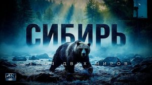 СИБИРЬ: Земля двух миров | Жизнь в вечной мерзлоте | Документальный фильм | Дикая природа