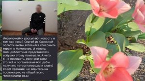 Николаев 8 мая 2026 года (новости)