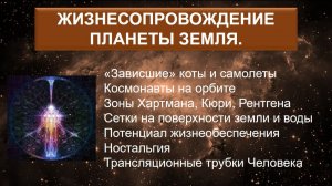 Жизнесопровождение.Планета Земля.