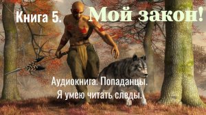 Аудиокнига «Мой закон» Книга 5. Фэнтези. Попаданцы.