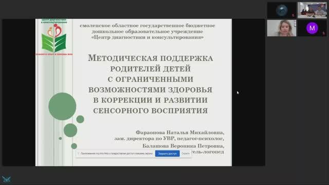 Оптимальные формы организации образовательной среды обучающихся с ОВЗ